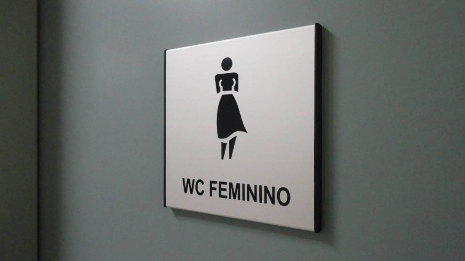 Placa pictograma de parede indicando WC Feminino